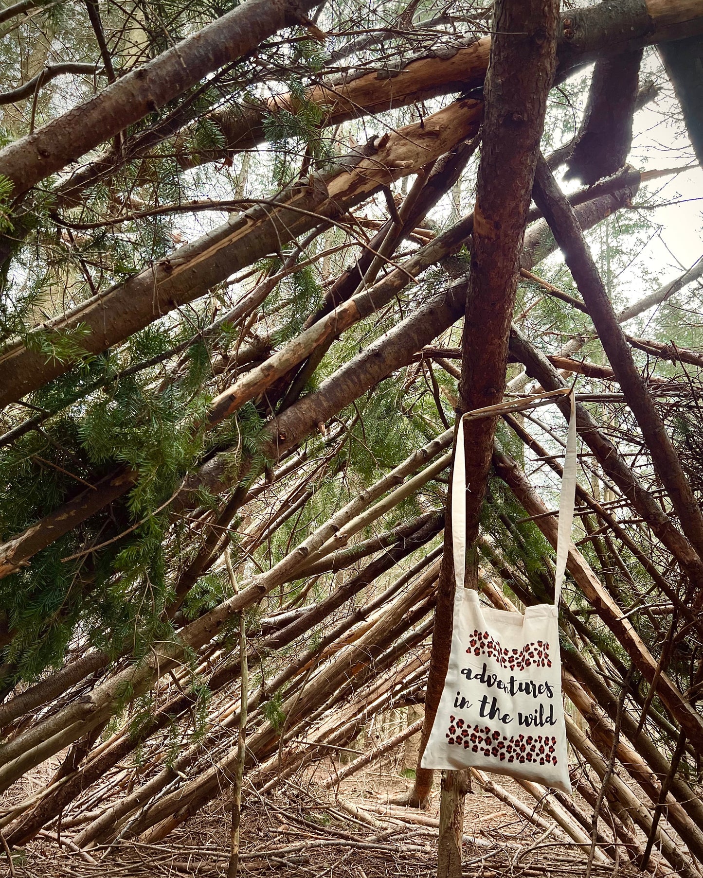 ADVENTURES IN THE WILD - Organic Cotton Tote Bag - Little Mate Adventures