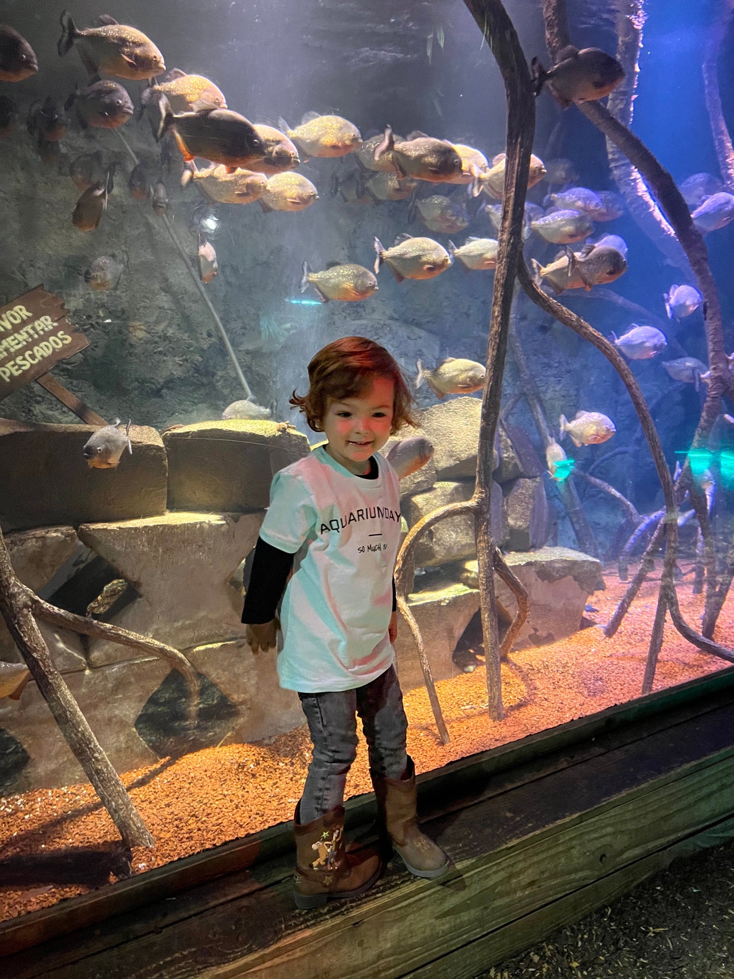 COMING SOON!!! AQUARIUM DAYS SO MUCH FUN - Organic Kids T-Shirt - Little Mate Adventures