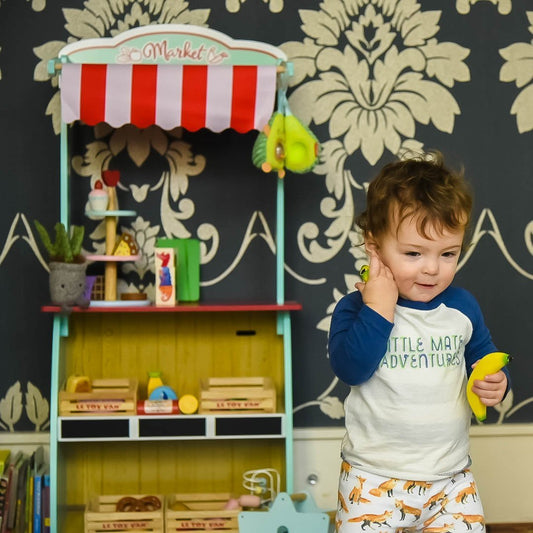 SAMPLE SALE - LITTLE MATE ADVENTURES LOGO TEE - Baseball Sleeve Tee - Little Mate Adventures