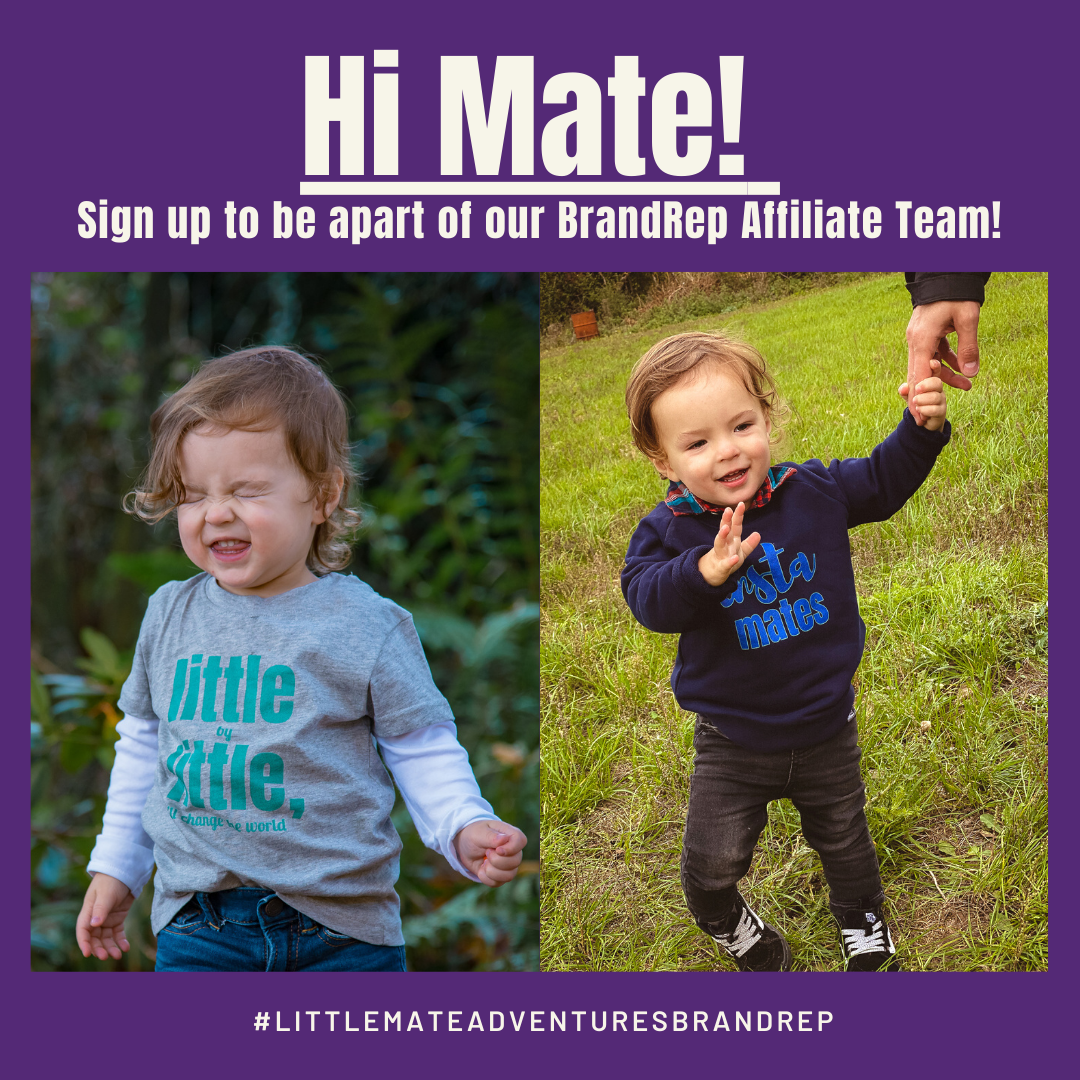 Little Mate Adventures is looking for Brand Reps! - Little Mate Adventures