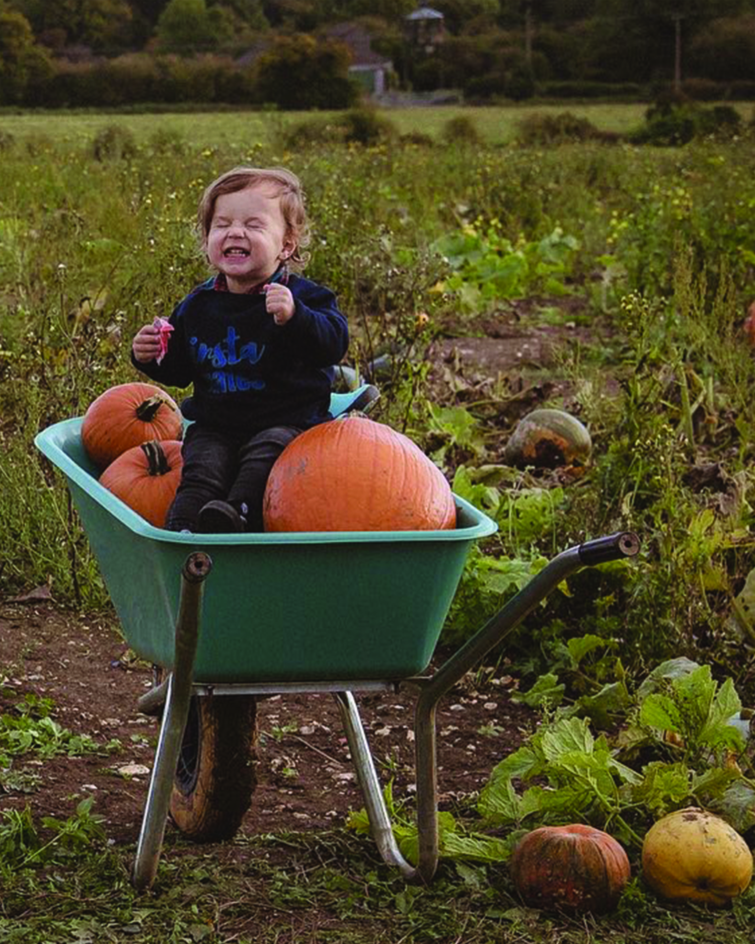 ADVENTURES IN THE WILD