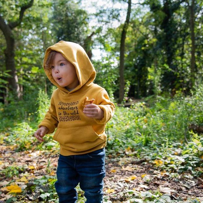 ADVENTURES IN THE WILD - Toddler + Youth Hoodie Sweatshirt - Little Mate Adventures